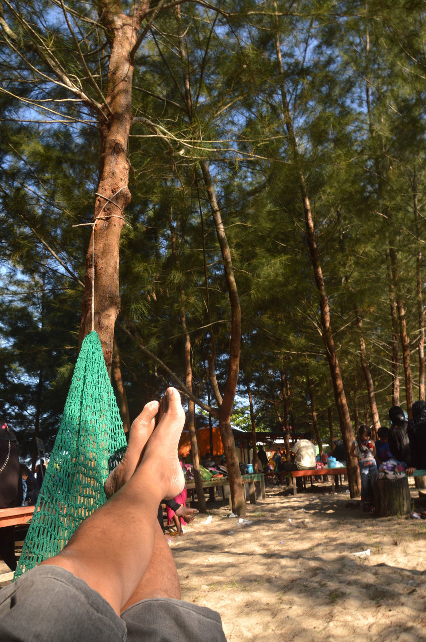 LOW SECTION OF WOMAN RELAXING BY TREE