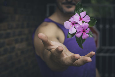 Close-up of hand holding purple flowering plant