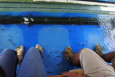 Low section of people swimming in aquarium