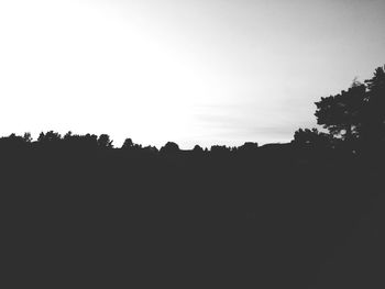 Silhouette of trees against sky