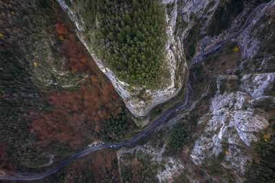 Aerial view of winding road 