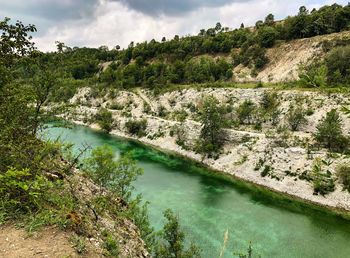 Scenic view of river amidst trees against sky