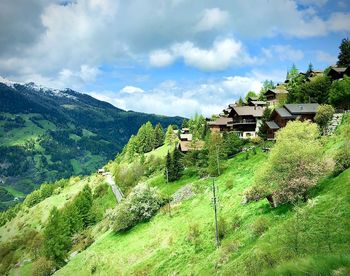 Panoramic shot of trees and buildings against sky