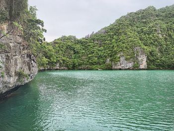 Scenic view of river amidst trees against sky