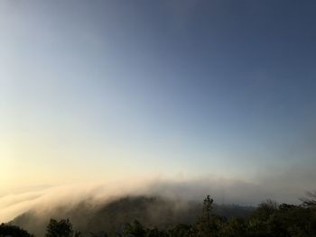 Scenic view of silhouette trees against sky during sunset