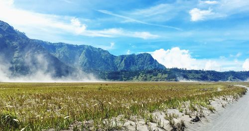 Scenic view of field against sky