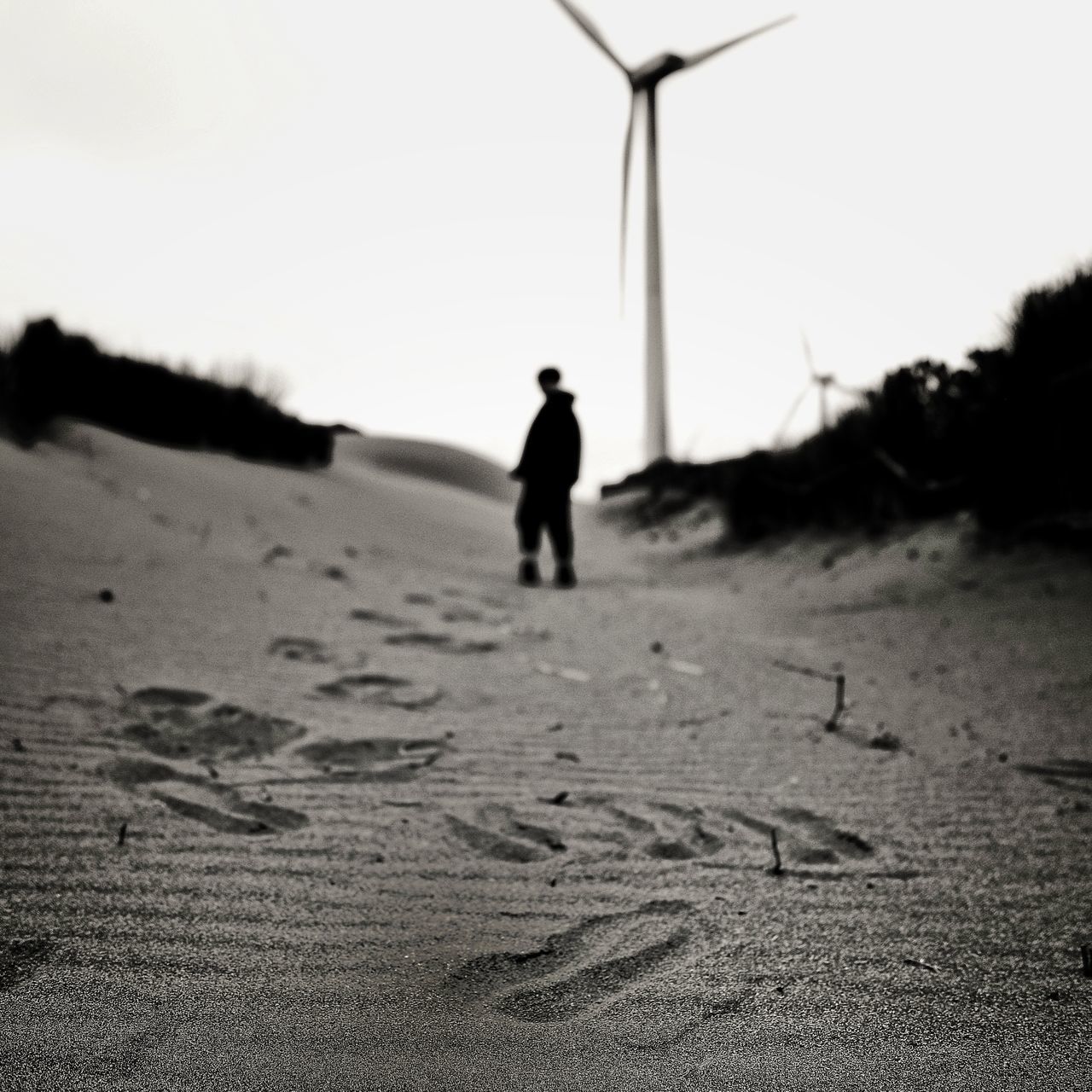 REAR VIEW OF MAN WALKING ON BEACH