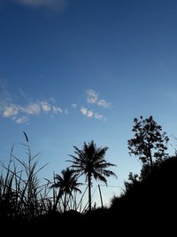 Low angle view of silhouette trees against sky during sunset