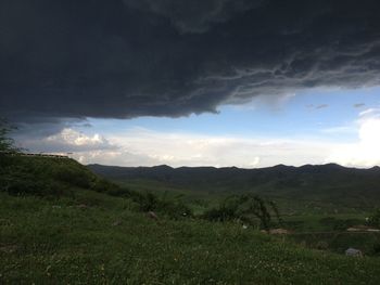 Scenic view of field against sky