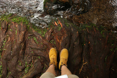 Low section of woman standing on tree