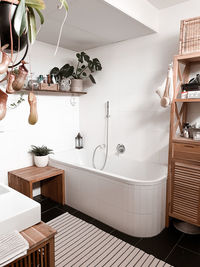 Potted plants at home. bathroom boho.