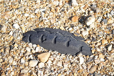 High angle view of stone on rock