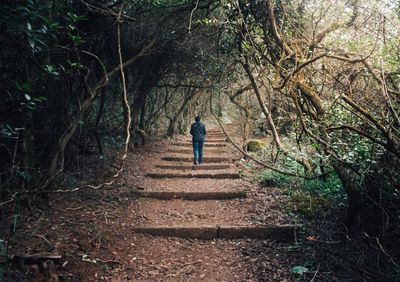 Rear view of man walking in forest