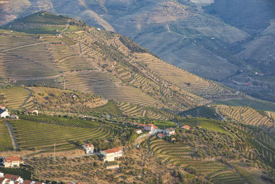 High angle view of agricultural field