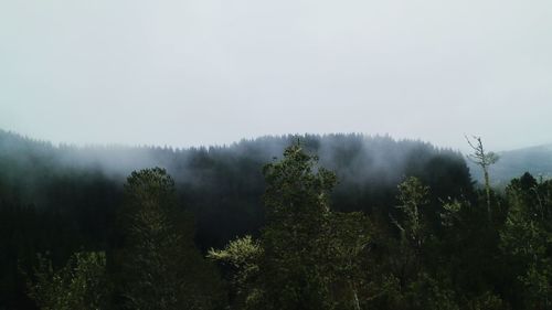 Scenic view of mountains in foggy weather