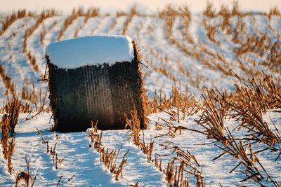 Close-up of snow on field against sky