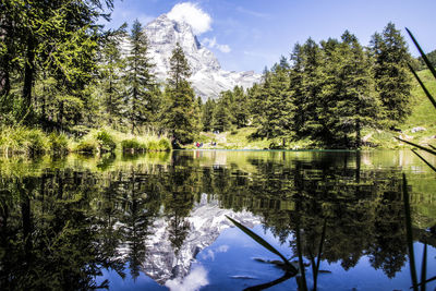 Reflection of trees in lake against sky