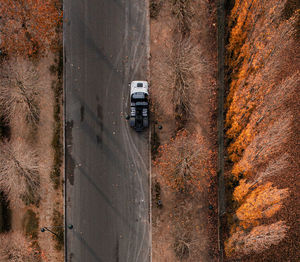 High angle view of road amidst trees during autumn