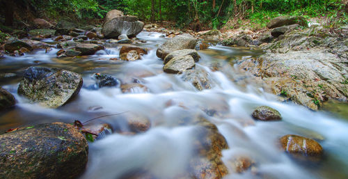 Surface level of stream flowing in forest