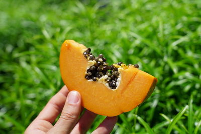 Cropped image of hand holding orange