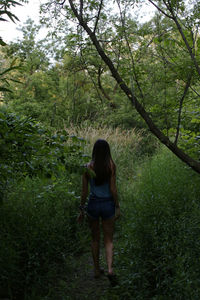 Rear view of young woman walking in forest