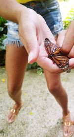 Close-up of woman holding hands