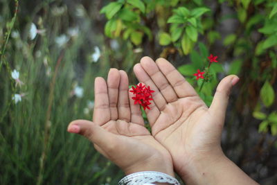 Close-up of woman holding flower