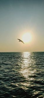 Bird flying over sea against sky