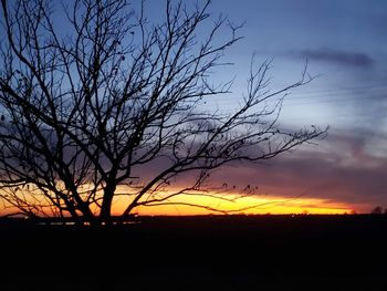 Silhouette bare tree on field against romantic sky at sunset