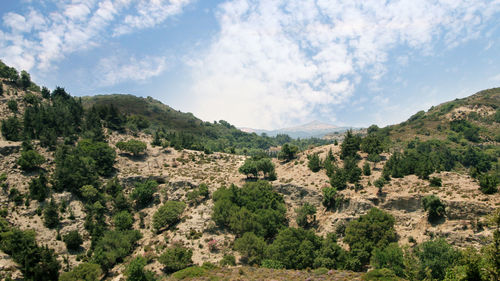 Scenic view of trees and mountains against sky