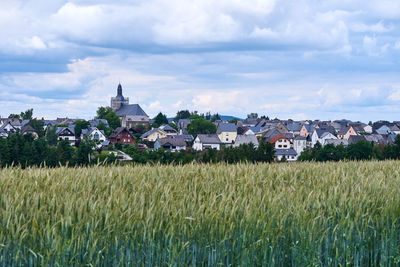 Scenic view of agricultural field against sky