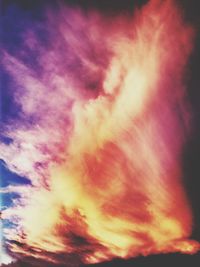 Low angle view of tree against sky