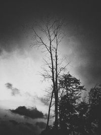 Low angle view of bare tree against cloudy sky