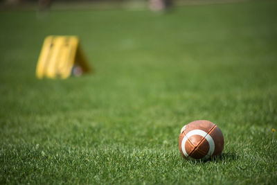 Rugby ball on field