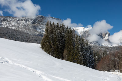 Beautiful day in the mountains with snow-covered fir trees and a snowy mountain panorama.