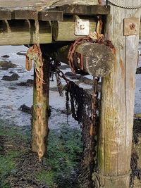 Close-up of wooden post