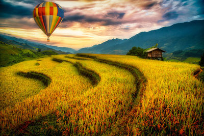 Hot air balloons flying over landscape