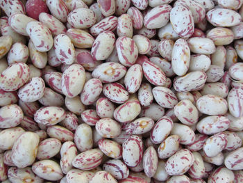 Bean rounded with red specks texture background the beans are cultivated with biological agriculture