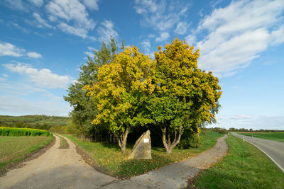 Road amidst trees on field against sky