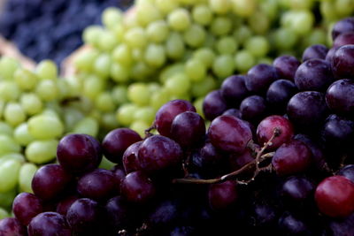 Close-up of grapes in market for sale