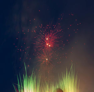 Low angle view of firework display at night