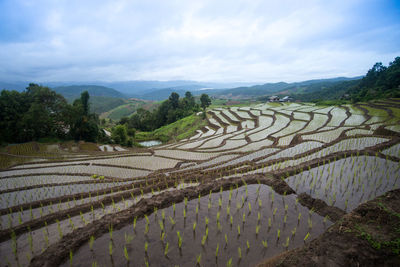 Pa-pong-peang terraced rice fields north thailand.