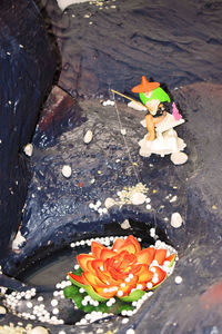 Close-up high angle view of flower