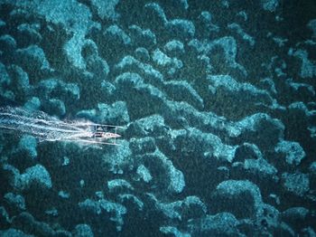 Aerial view of outrigger boat in sea