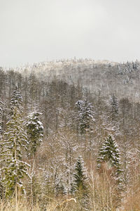 Scenic view of snow covered land against clear sky