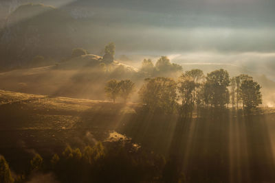 Sunlight streaming through trees against sky during sunset