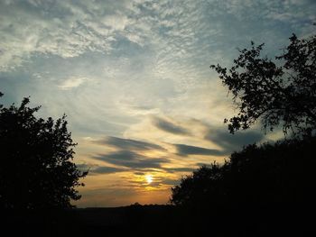 Low angle view of silhouette trees against sky during sunset