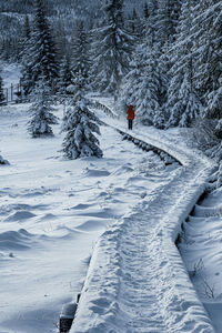 Scenic view of snow covered mountain