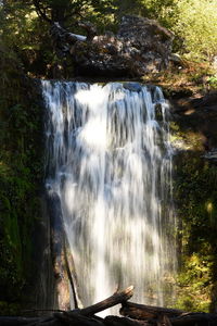 View of waterfall in forest