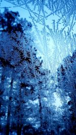 Full frame shot of icicles on tree